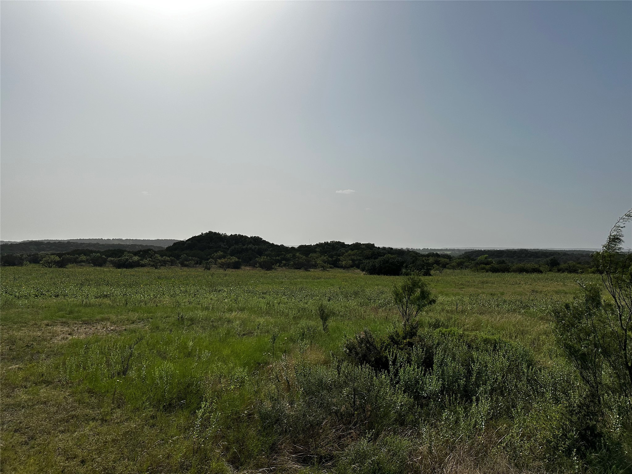 0 South Bosley Road Santo, TX 76472 - Photo 8 of 22