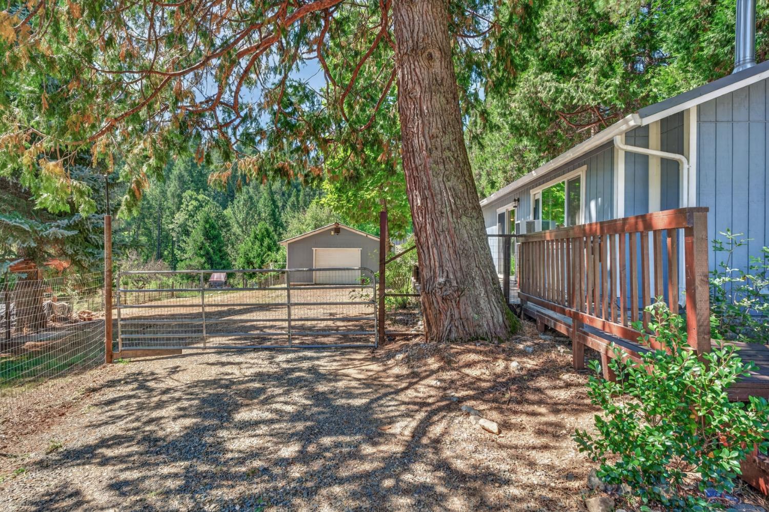 9882 La Porte Road Challenge, CA 95925 - Photo 54 of 56 Gallery Image 54