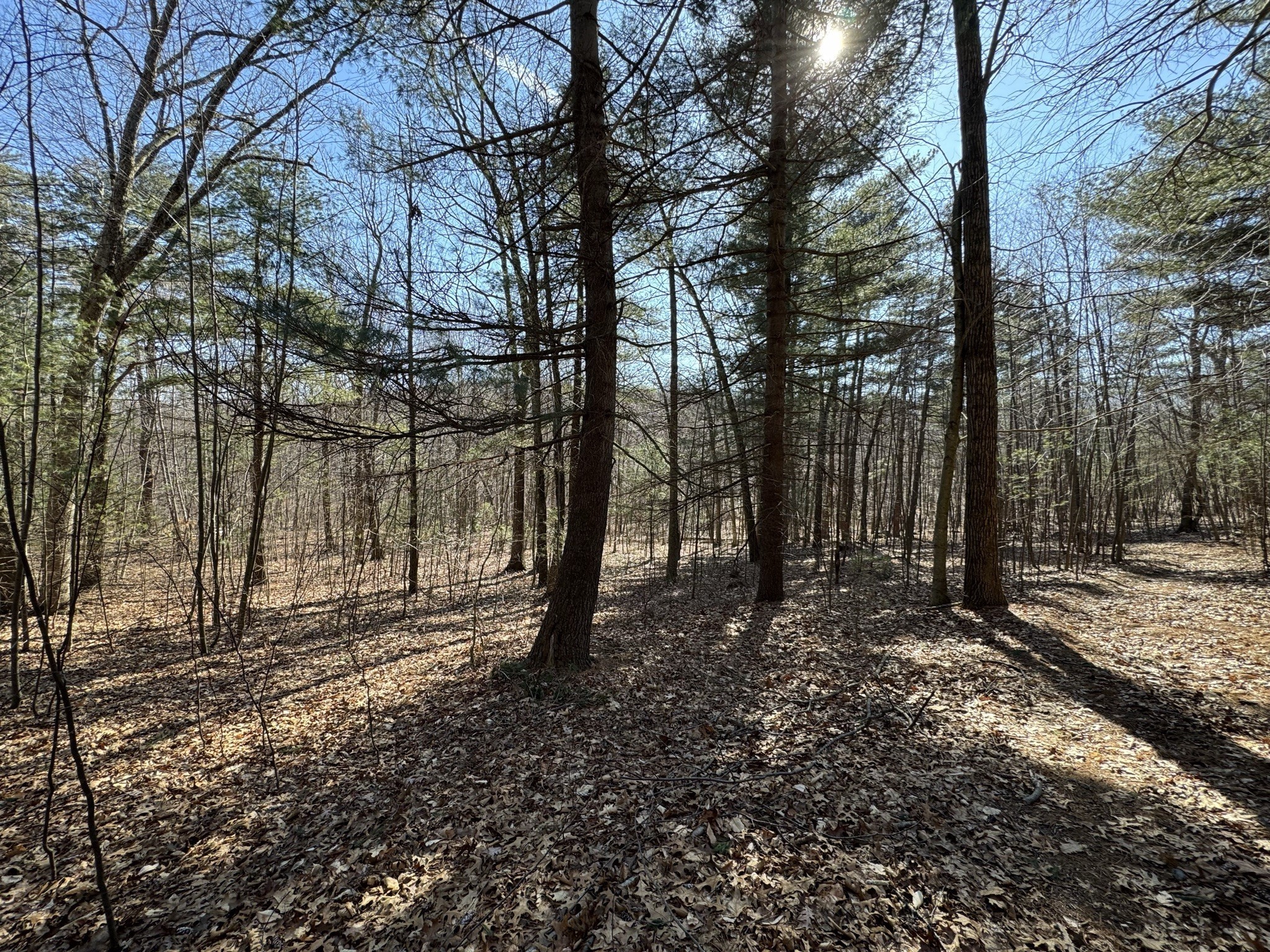 576 V Ridge Road Wilbraham, MA 01095 - Photo 11 of 13 Gallery Image 11
