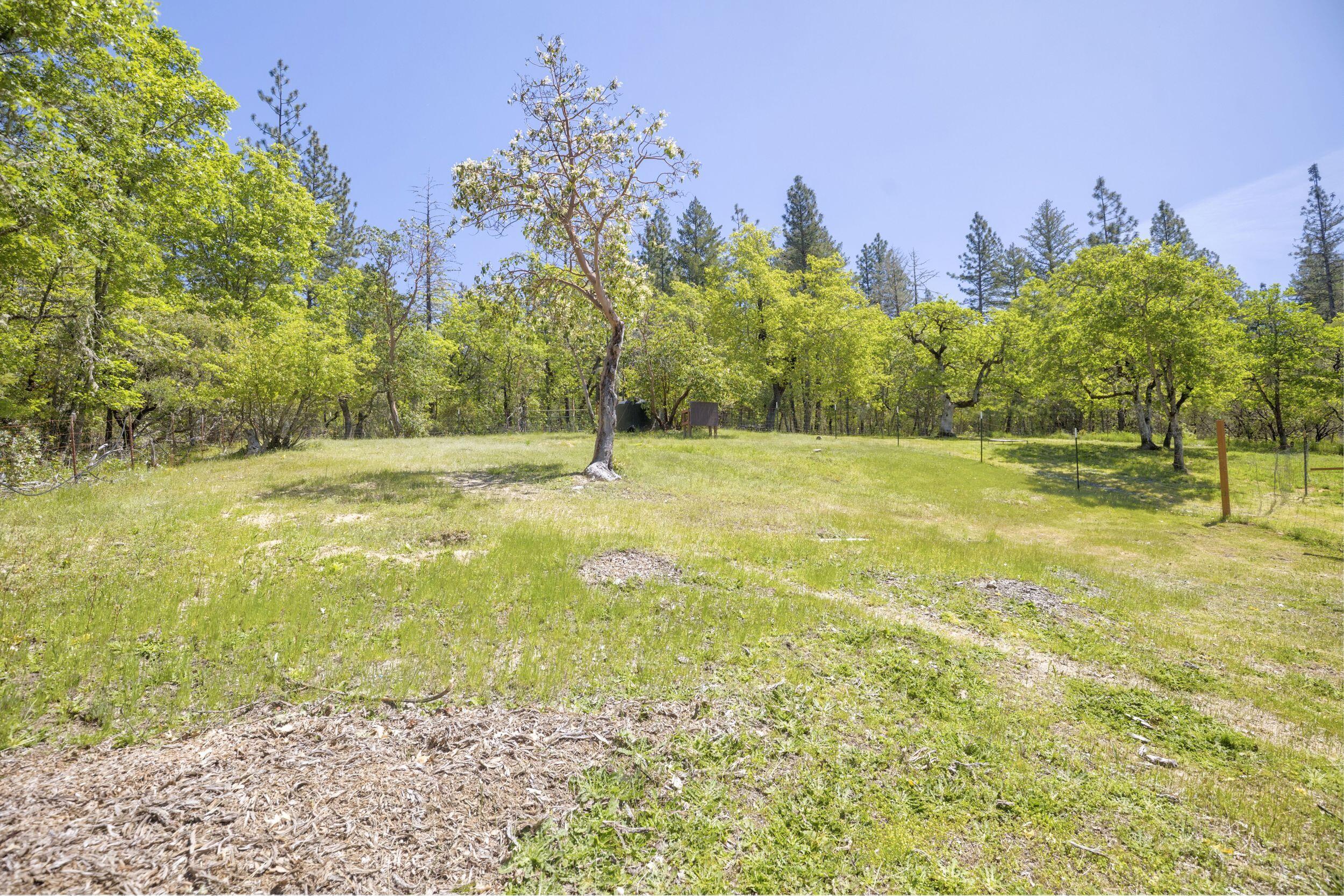 2000 Stringer Gap Road Grants Pass, OR 97527 - Photo 39 of 50 Property6