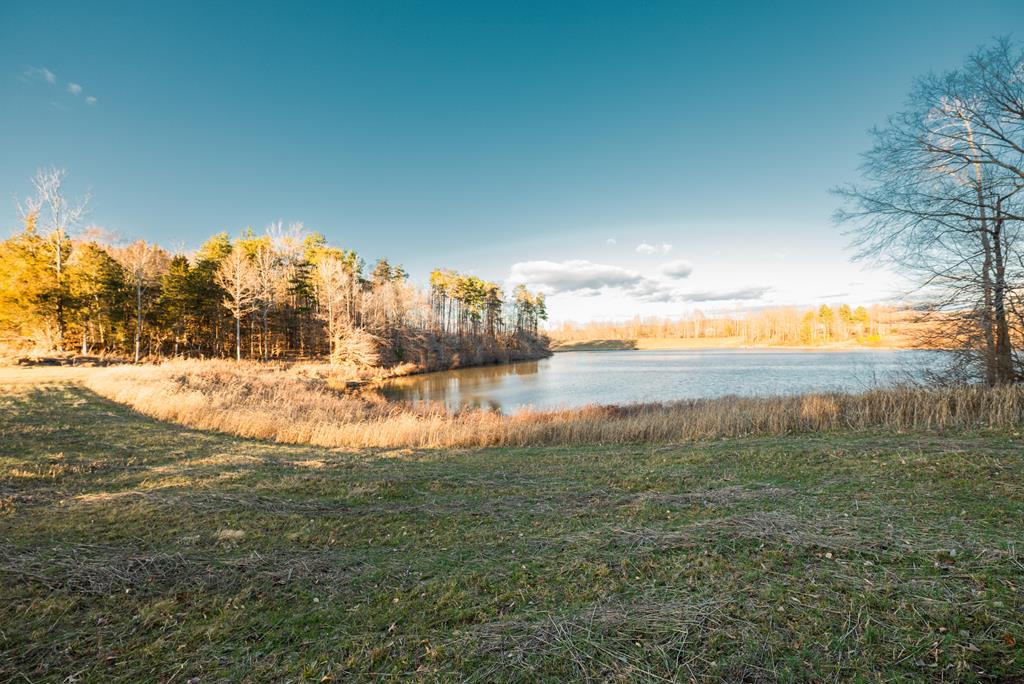 Falkland Road Meherrin, VA 23954 - Photo 8 of 20 Gallery Image 8