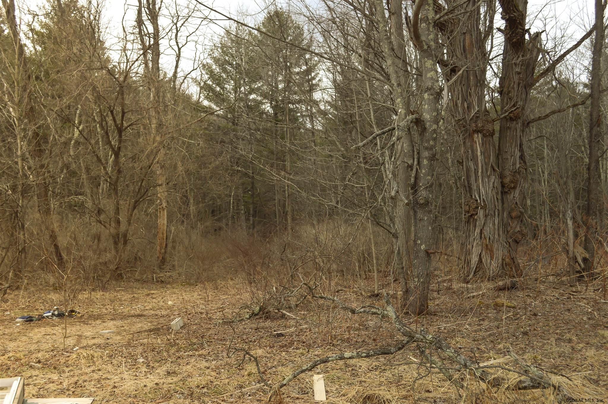 726 Stone Bridge Road Durham, NY 12423 - Photo 29 of 29 Photo 29