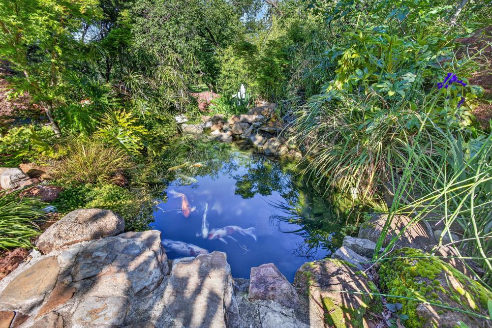 3475 Ramada Way Shingle Springs, CA 95682 - Photo 39 of 67