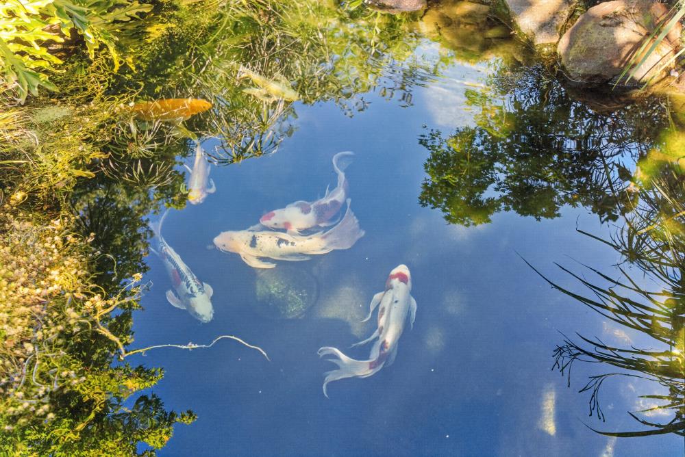 3475 Ramada Way Shingle Springs, CA 95682 - Photo 42 of 67