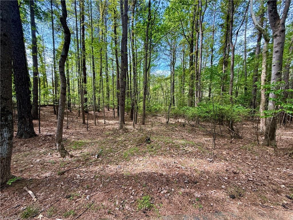 161 Greens Road Granite Falls, NC 28630 - Photo 24 of 38