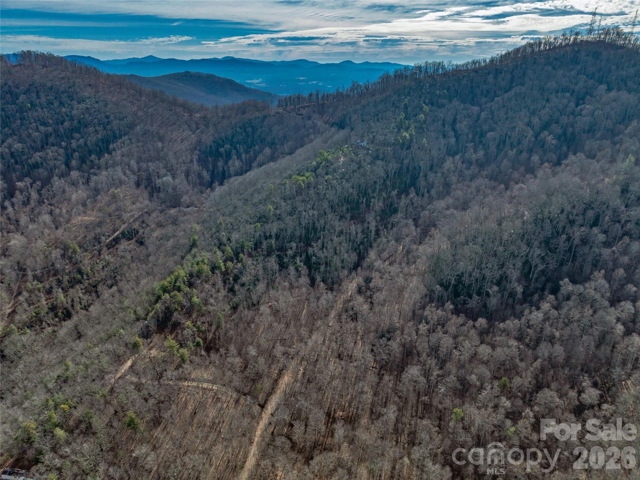 99999 High Top Mountain Road Leicester, NC 28748 - Photo 11 of 29 a view of a dry yard with wooden floor