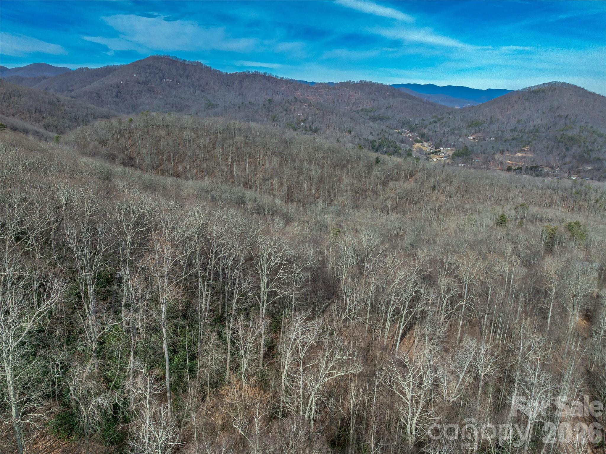 99999 High Top Mountain Road Leicester, NC 28748 - Photo 13 of 29 a view of a mountain range with trees in the background