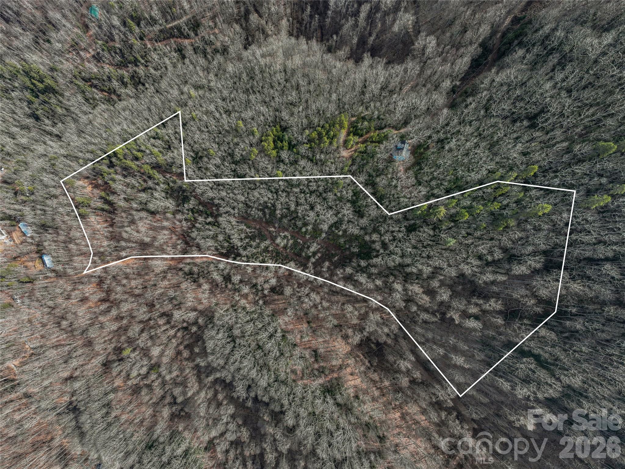 99999 High Top Mountain Road Leicester, NC 28748 - Photo 14 of 29 a view of a yard