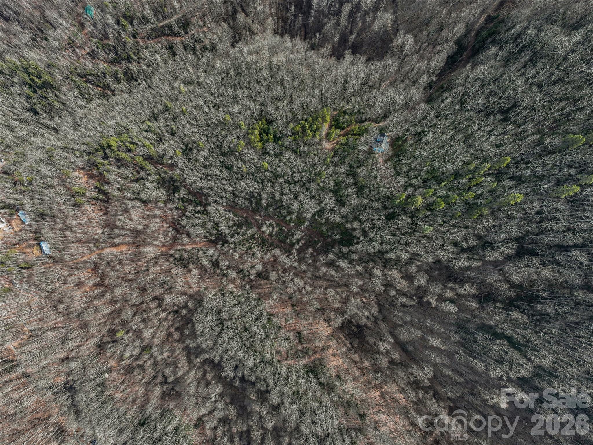 99999 High Top Mountain Road Leicester, NC 28748 - Photo 15 of 29 a view of a dry yard with green space