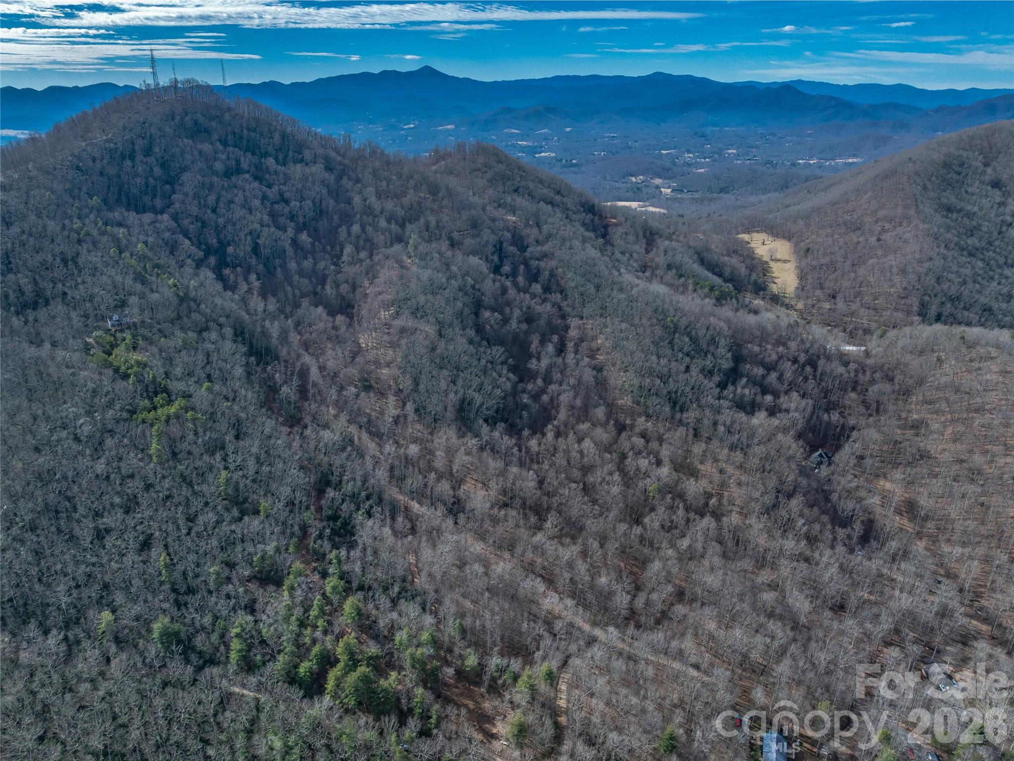 99999 High Top Mountain Road Leicester, NC 28748 - Photo 21 of 29 a view of dirt field with large trees