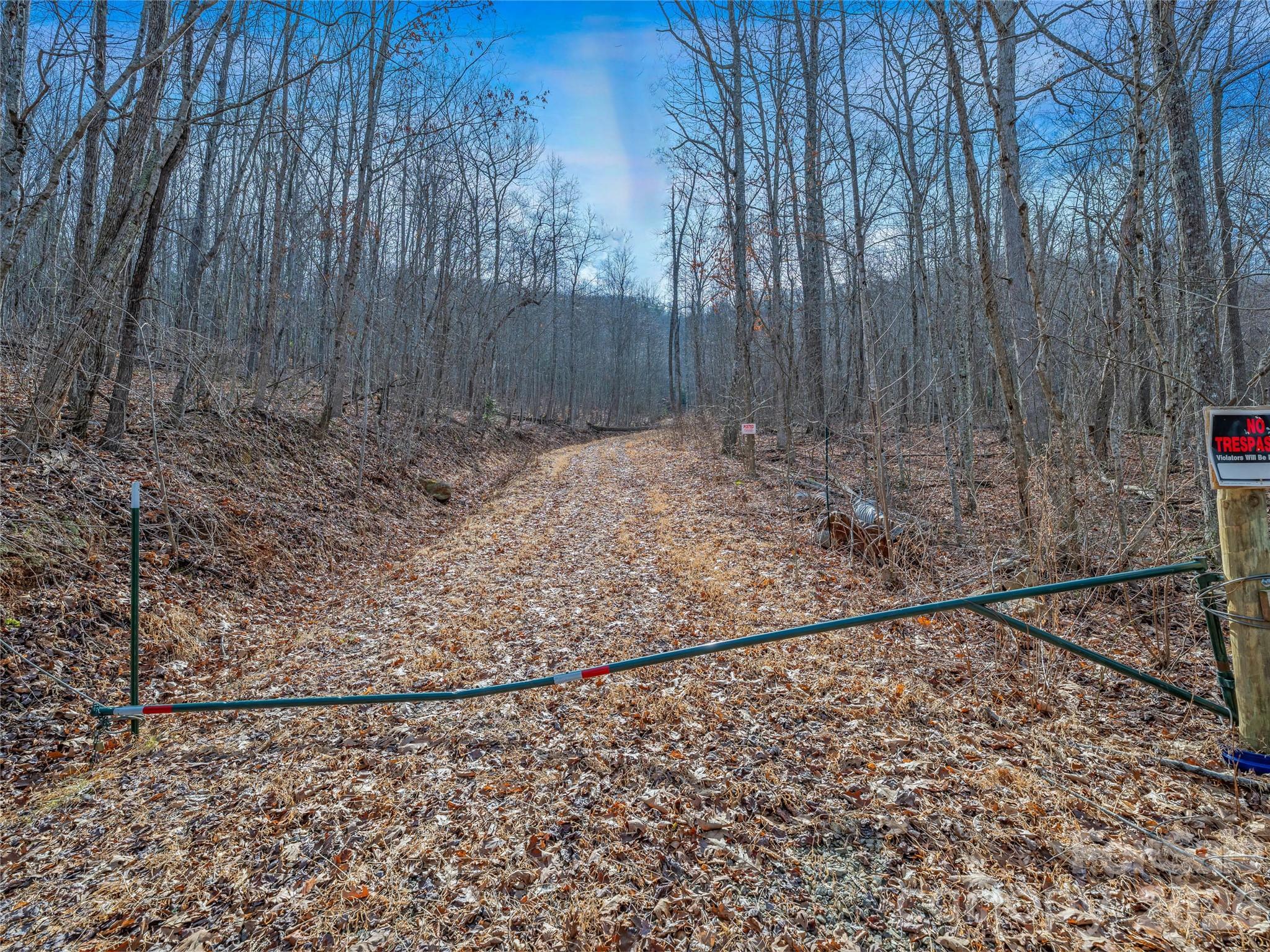 99999 High Top Mountain Road Leicester, NC 28748 - Photo 22 of 29 a view of a backyard