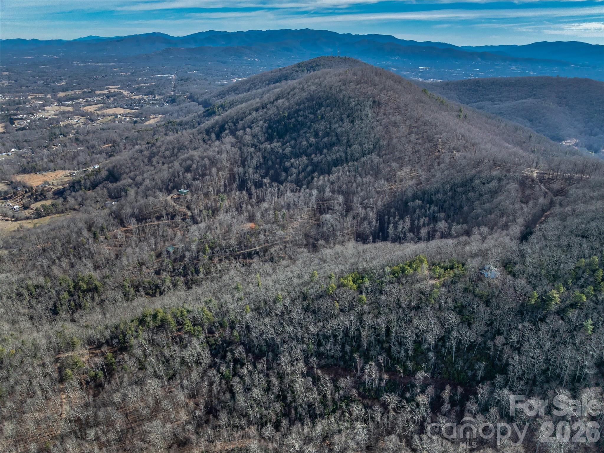 99999 High Top Mountain Road Leicester, NC 28748 - Photo 24 of 29 a view of a dry field with trees in background