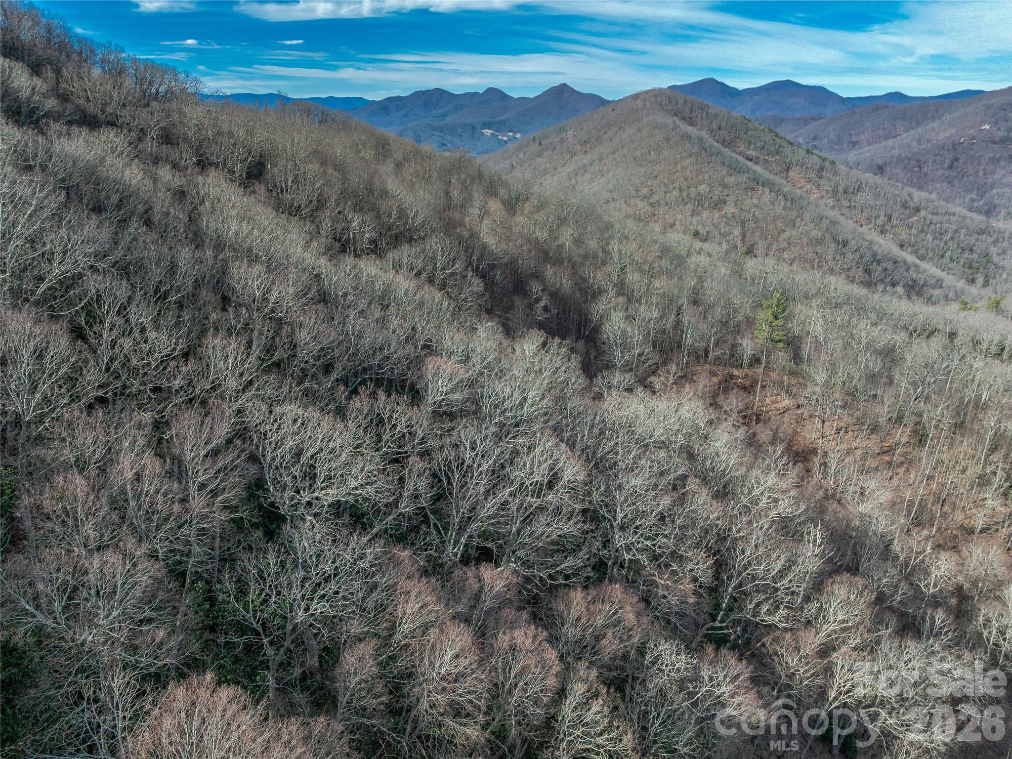 99999 High Top Mountain Road Leicester, NC 28748 - Photo 27 of 29 a view of mountains and valleys