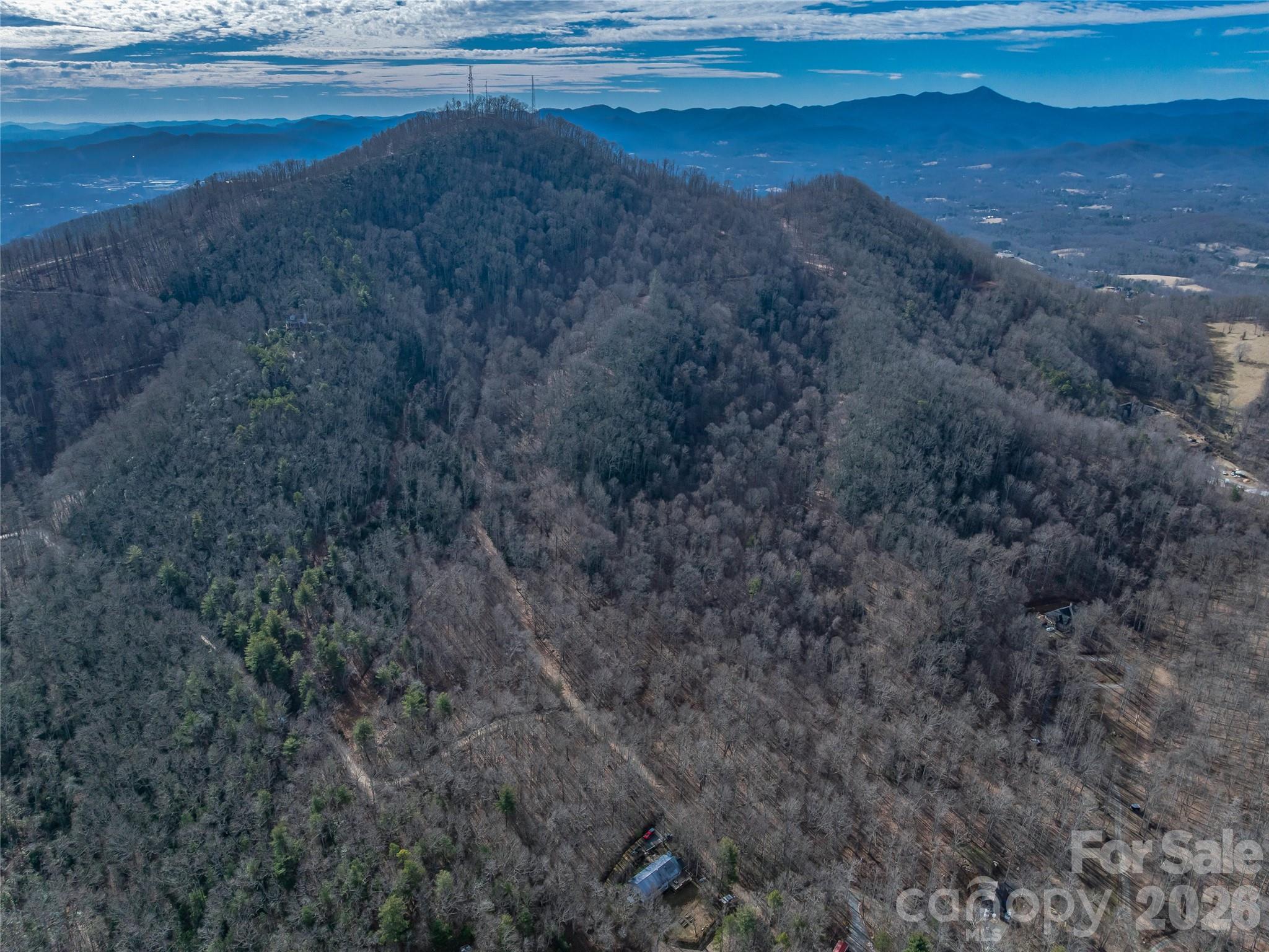 99999 High Top Mountain Road Leicester, NC 28748 - Photo 29 of 29 a view of dirt field with large trees