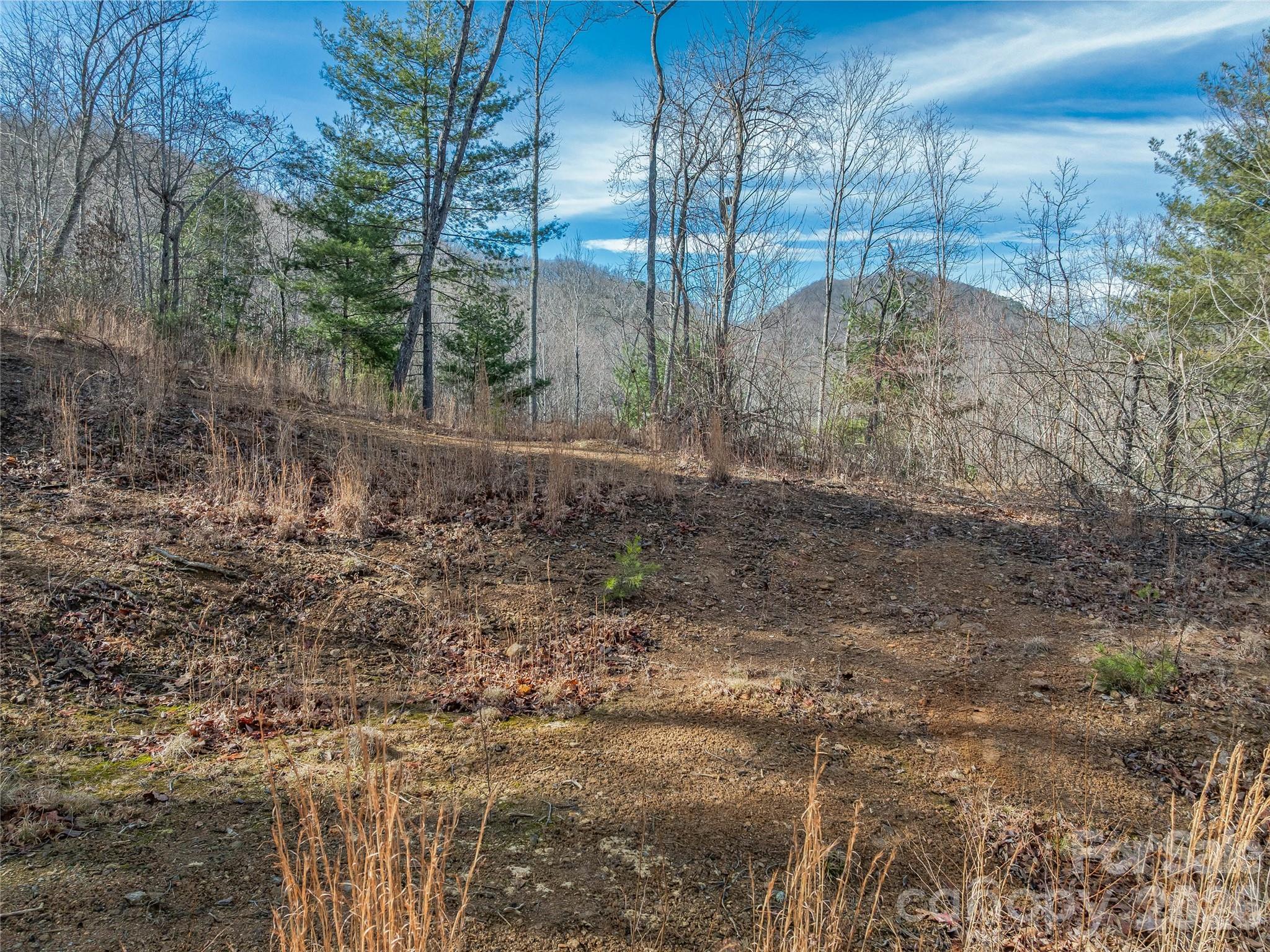 99999 High Top Mountain Road Leicester, NC 28748 - Photo 3 of 29 a view of a yard with trees