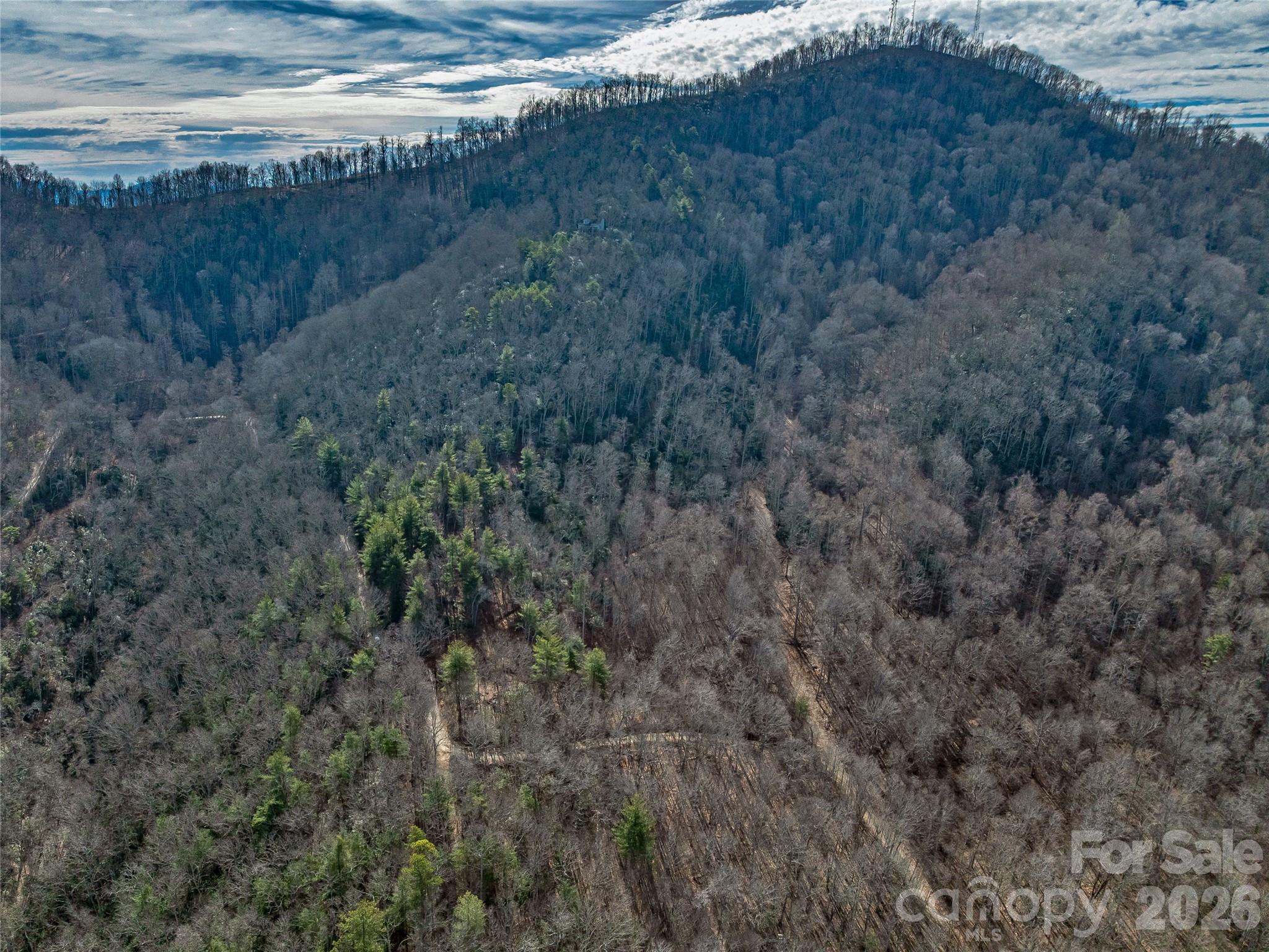 99999 High Top Mountain Road Leicester, NC 28748 - Photo 5 of 29 a view of a dry yard