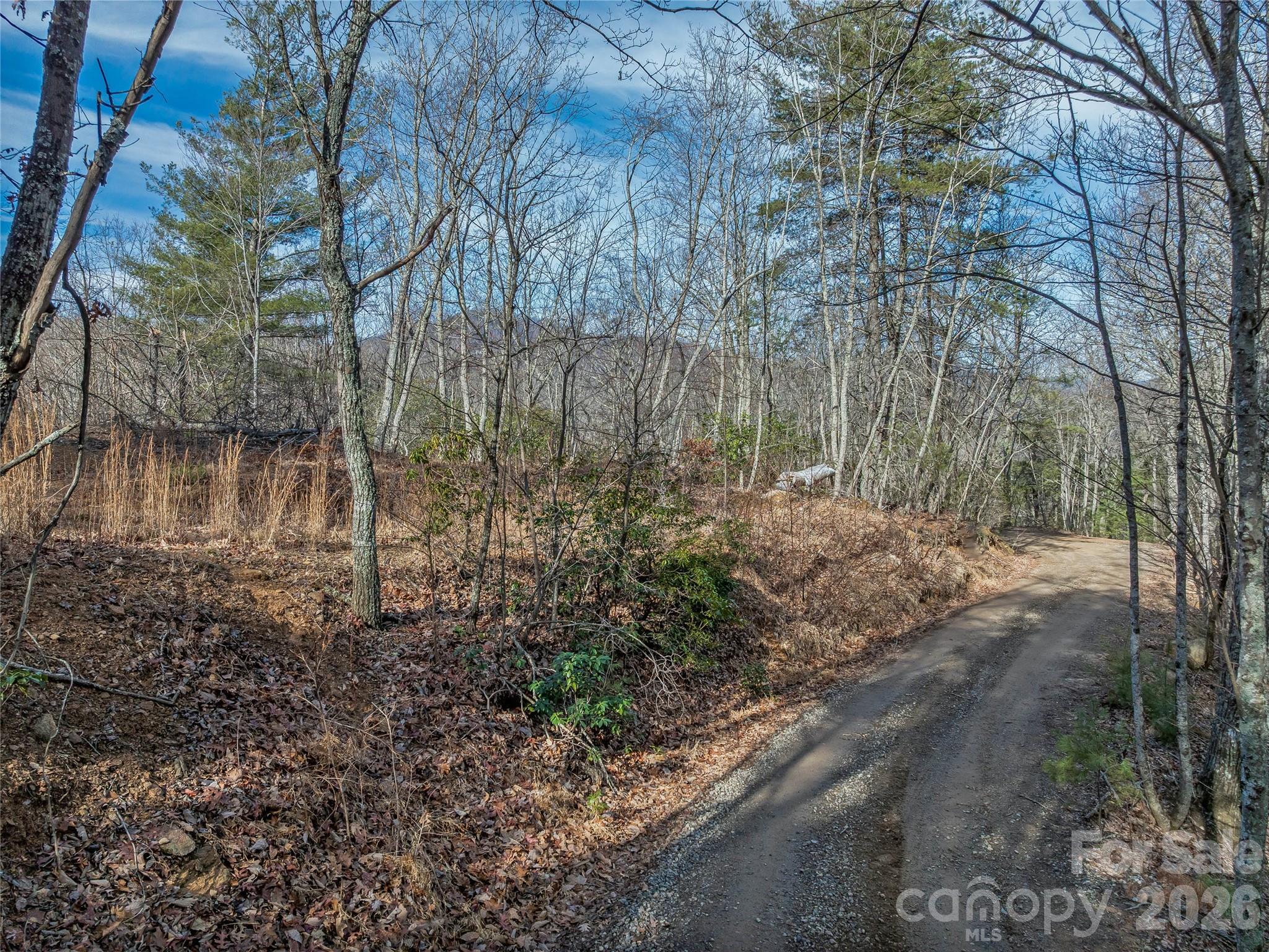 99999 High Top Mountain Road Leicester, NC 28748 - Photo 7 of 29 a backyard of a house with lots of green space