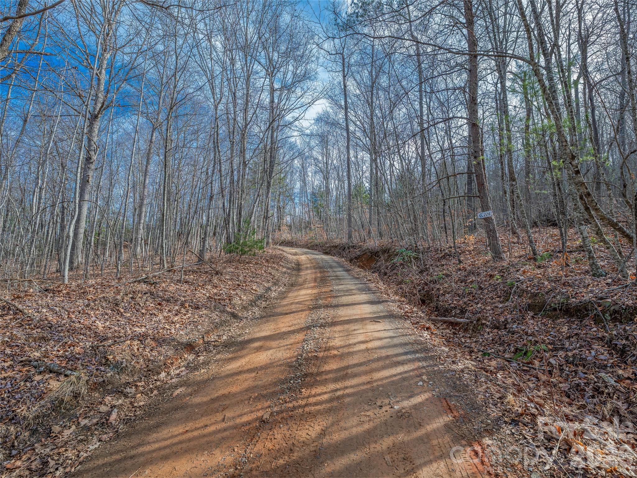 99999 High Top Mountain Road Leicester, NC 28748 - Photo 9 of 29 a view of backyard with green space