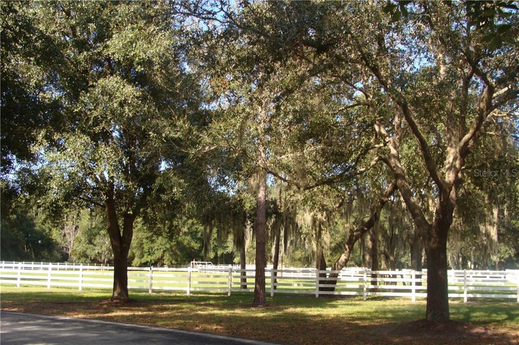 Michigan St Lake Lake Mary, FL 32746 - Photo 1 of 1