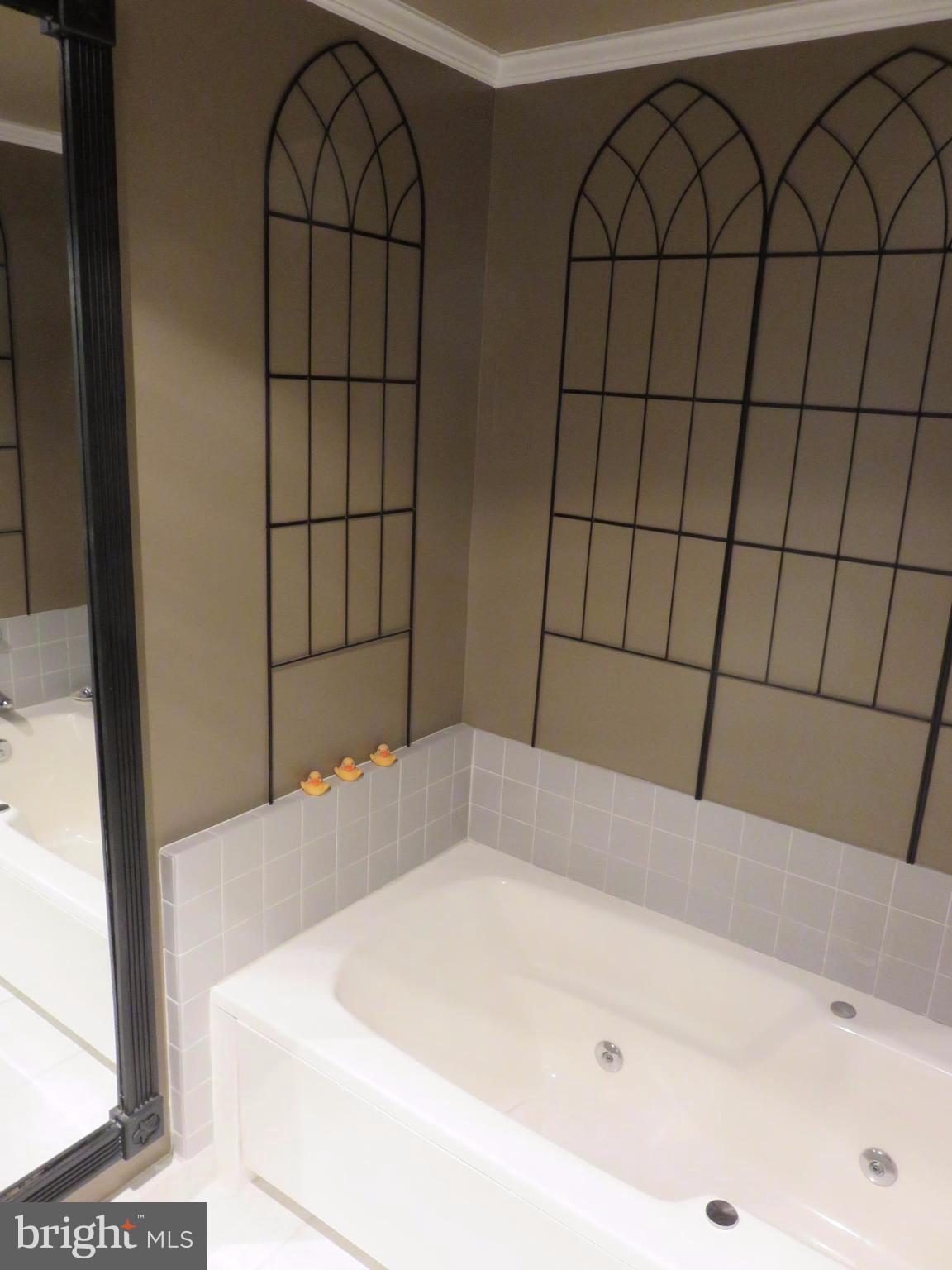 325 Pleasanton Road, Unit B24 Westminster, MD 21157 - Photo 12 of 17 Bath (Master) with shower and jet-tub!