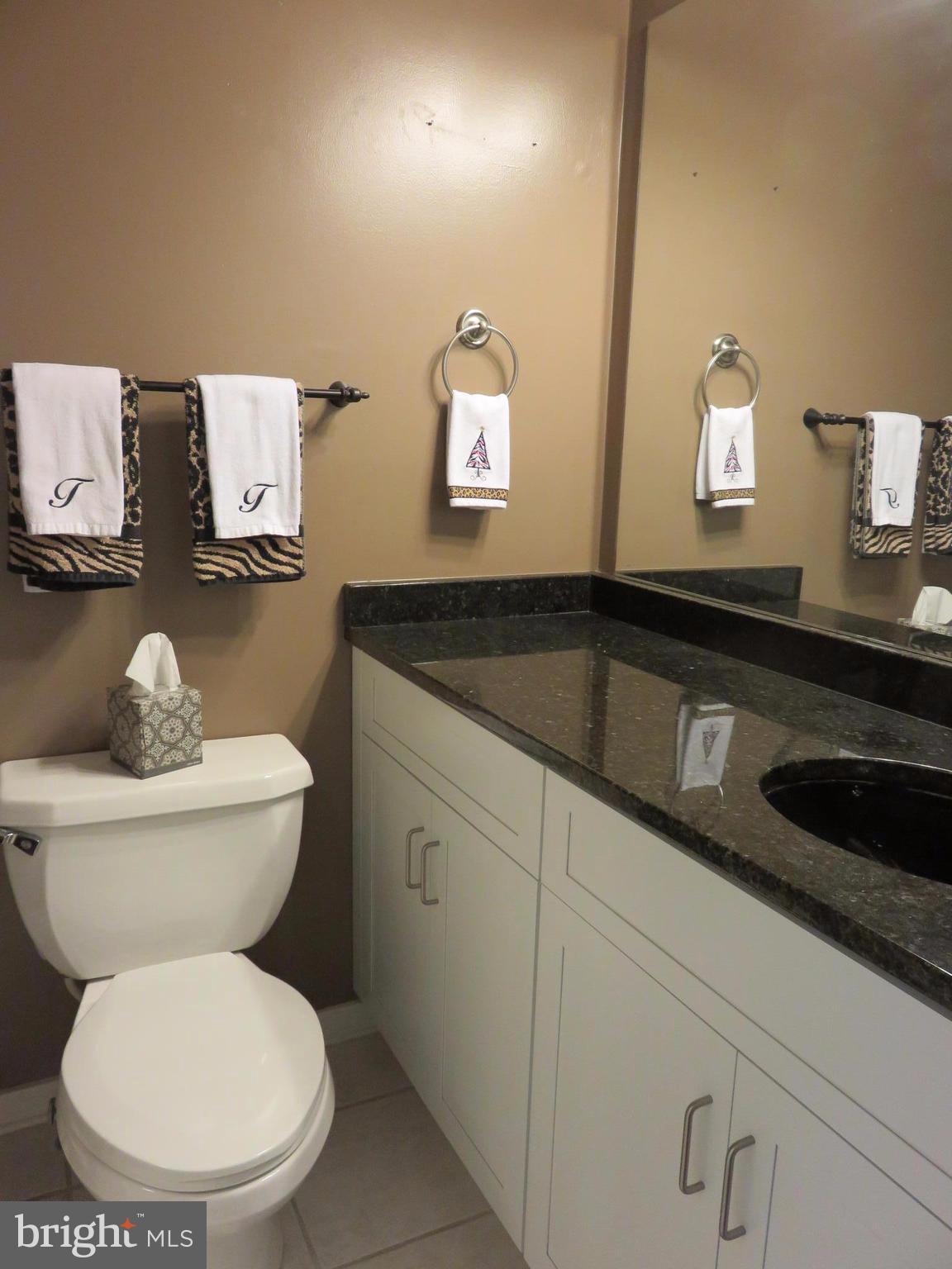 325 Pleasanton Road, Unit B24 Westminster, MD 21157 - Photo 9 of 17 Second bath with shower.