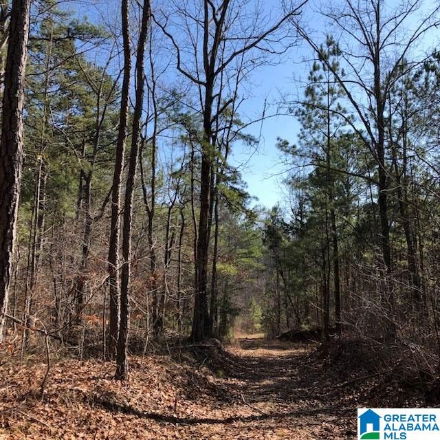 0 Blackjack Road, Unit 24 Trussville, AL 35173 - Photo 19 of 21