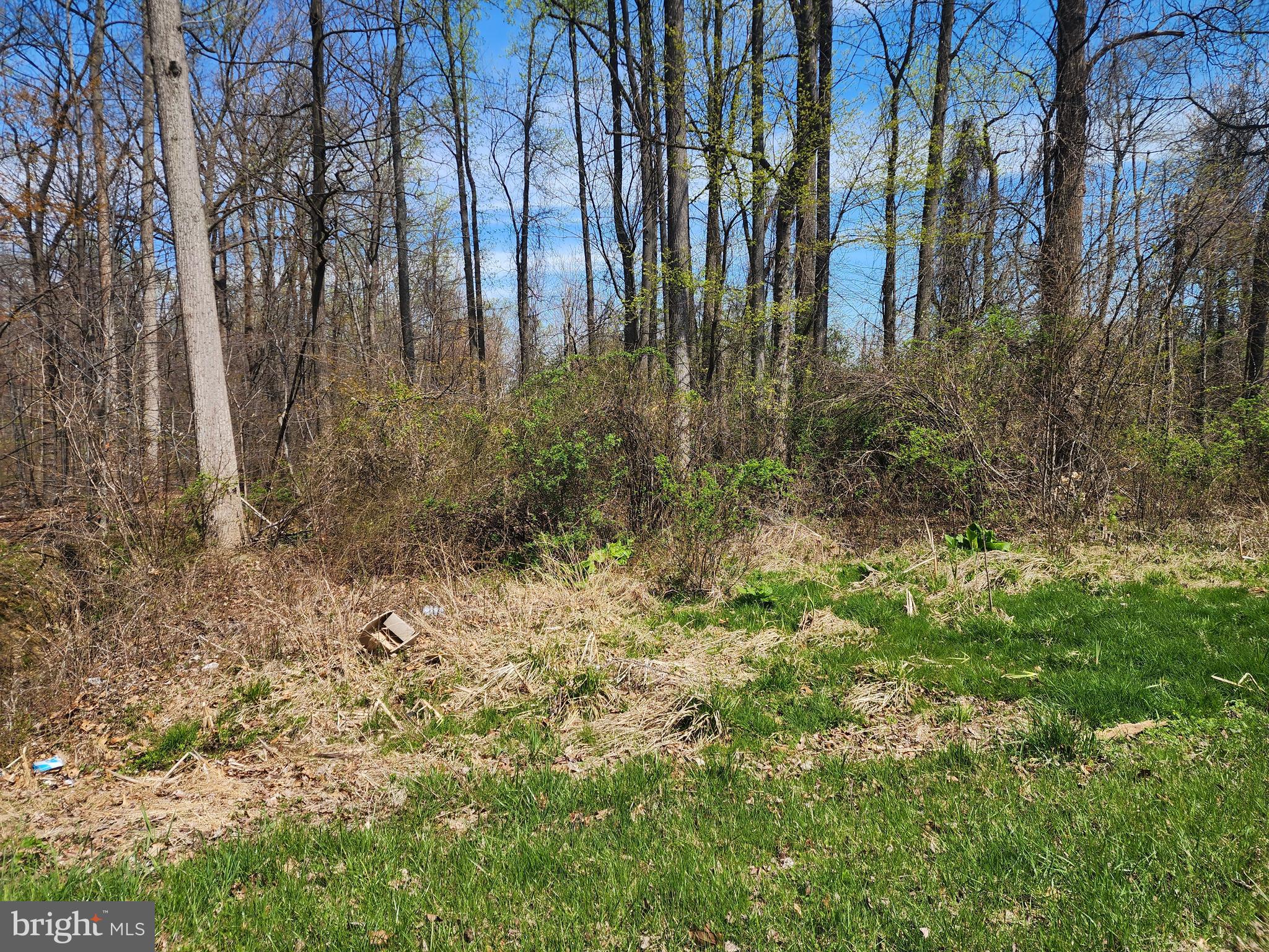 2 Evergreen Trail Fairfield, PA 17320 - Photo 2 of 6 a view of a yard with plants and trees