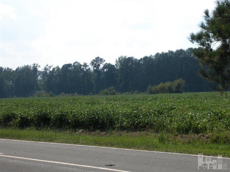 9715 Willard Road Willard, NC 28478 - Photo 1 of 1 Primary Photo