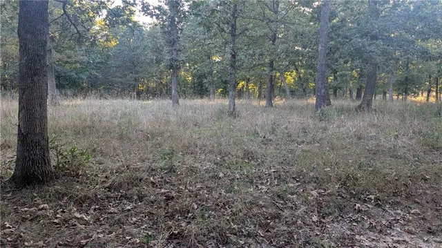 $849,000 | 742 Monroe Street, El Dorado Springs, MO 64744