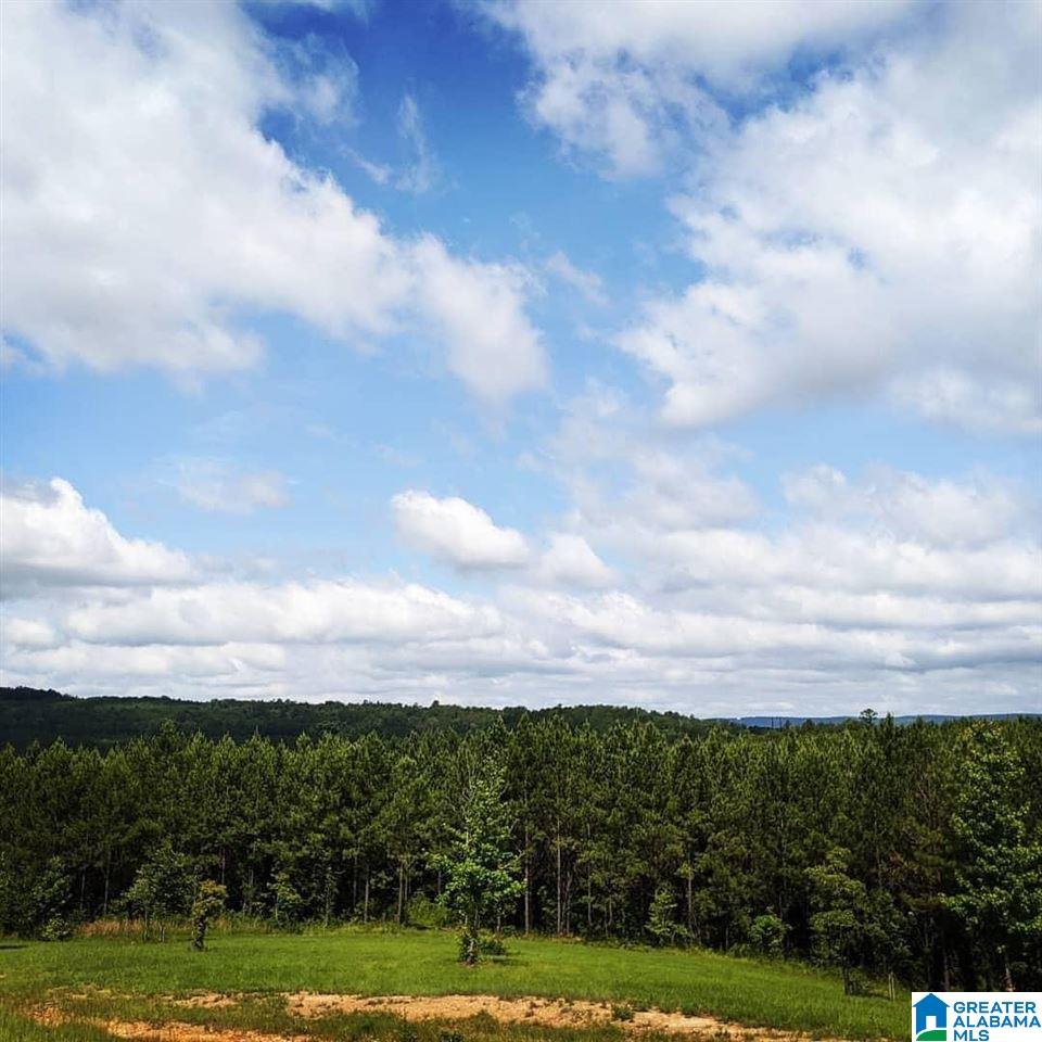 Lot 9 Highway 69 Chelsea Al, Unit 9 Chelsea, AL 35043 - Photo 2 of 6
