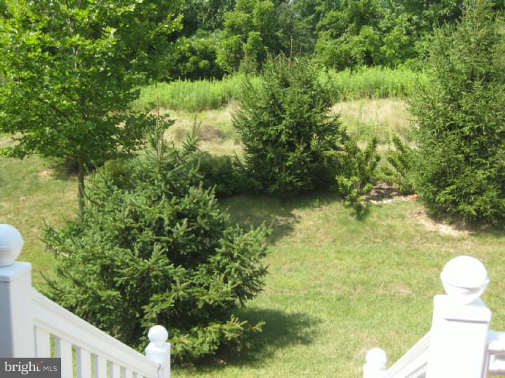 698 Churchill Road Chester Springs, PA 19425 - Photo 14 of 17 Back Yard