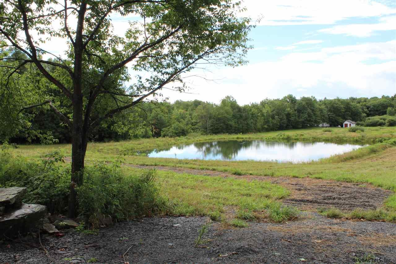 756 Travis Hill Road Rensselaerville, NY 12147 - Photo 4 of 8 Photo 4