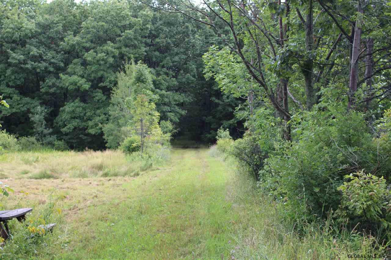 756 Travis Hill Road Rensselaerville, NY 12147 - Photo 5 of 8 Photo 5