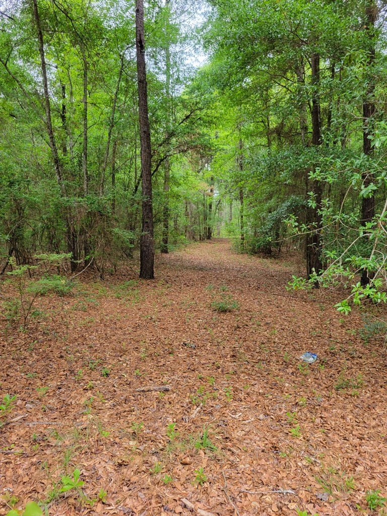 1621 A Windsor Road Windsor, SC 29856 - Photo 2 of 4