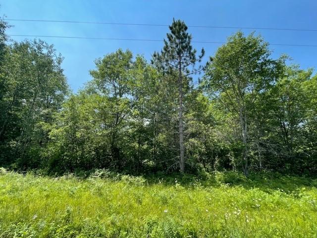 12123 Ferguson Road Solon Springs, WI 54873 - Photo 1 of 1