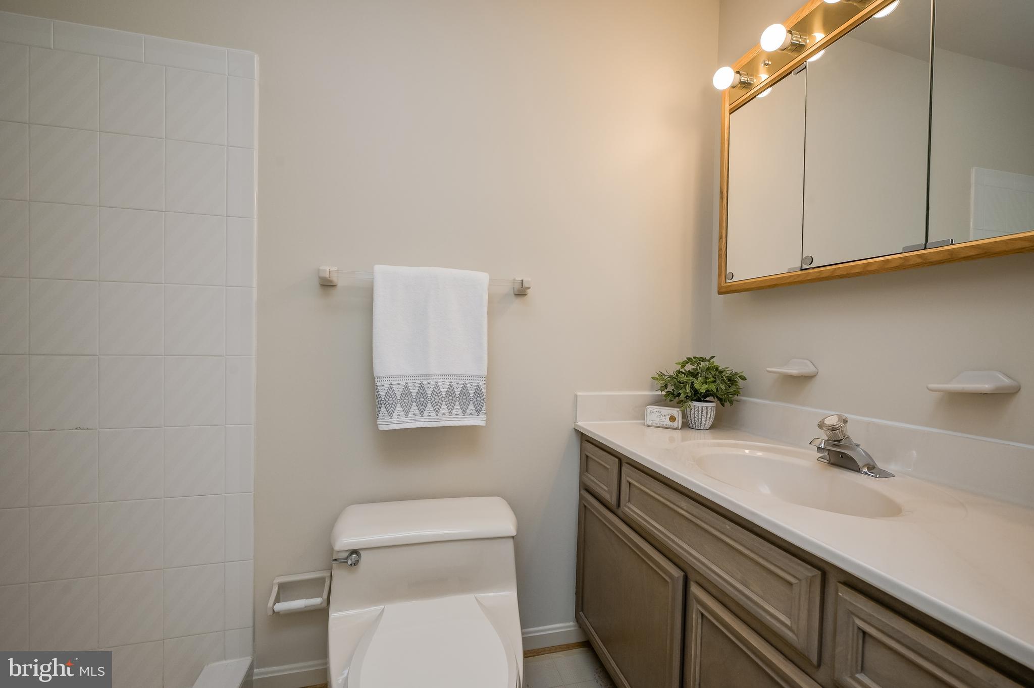 14048 Howard Road Dayton, MD 21036 - Photo 24 of 42 Primary bath with large vanity