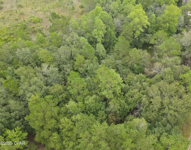 $6,095 | 0 Bryerwood Lane, Bonifay, FL 32425