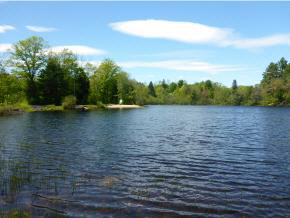 45 S Road Harrisville, NH 03450 - Photo 20 of 22