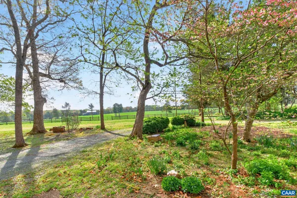 a backyard of a house with plants and large tree