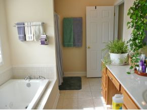 99 Jenkins Road Jonesborough, TN 37659 - Photo 11 of 19 Master Bath