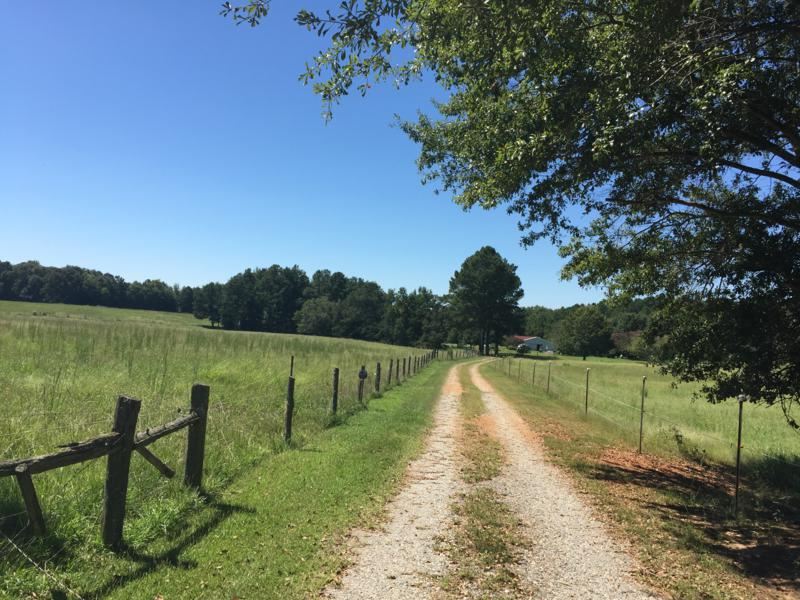 890 George Alewine Road Iva, SC 29655 - Photo 3 of 34