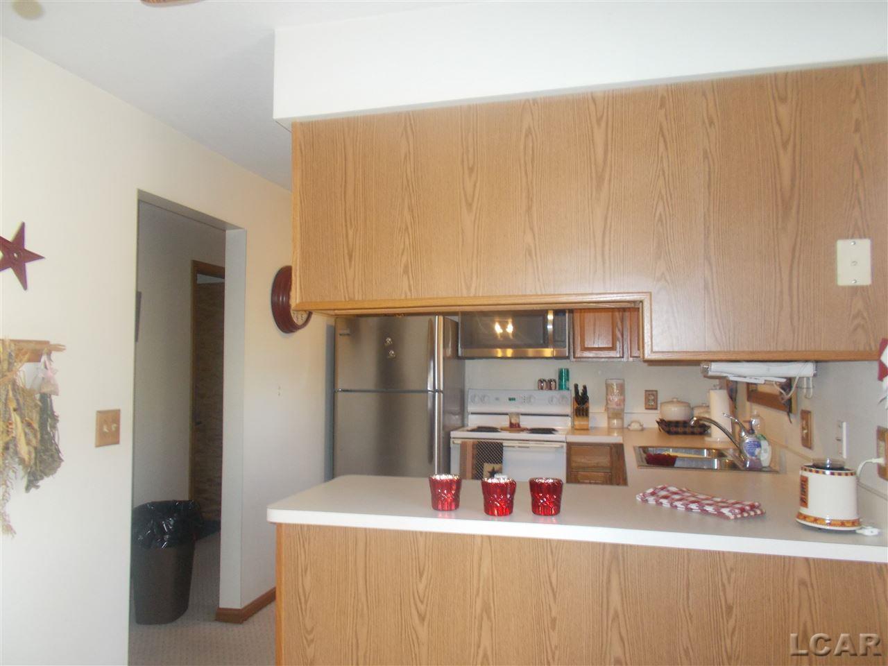 3644 Sharp Road Adrian, MI 49221 - Photo 14 of 23 31374233-14.JPG