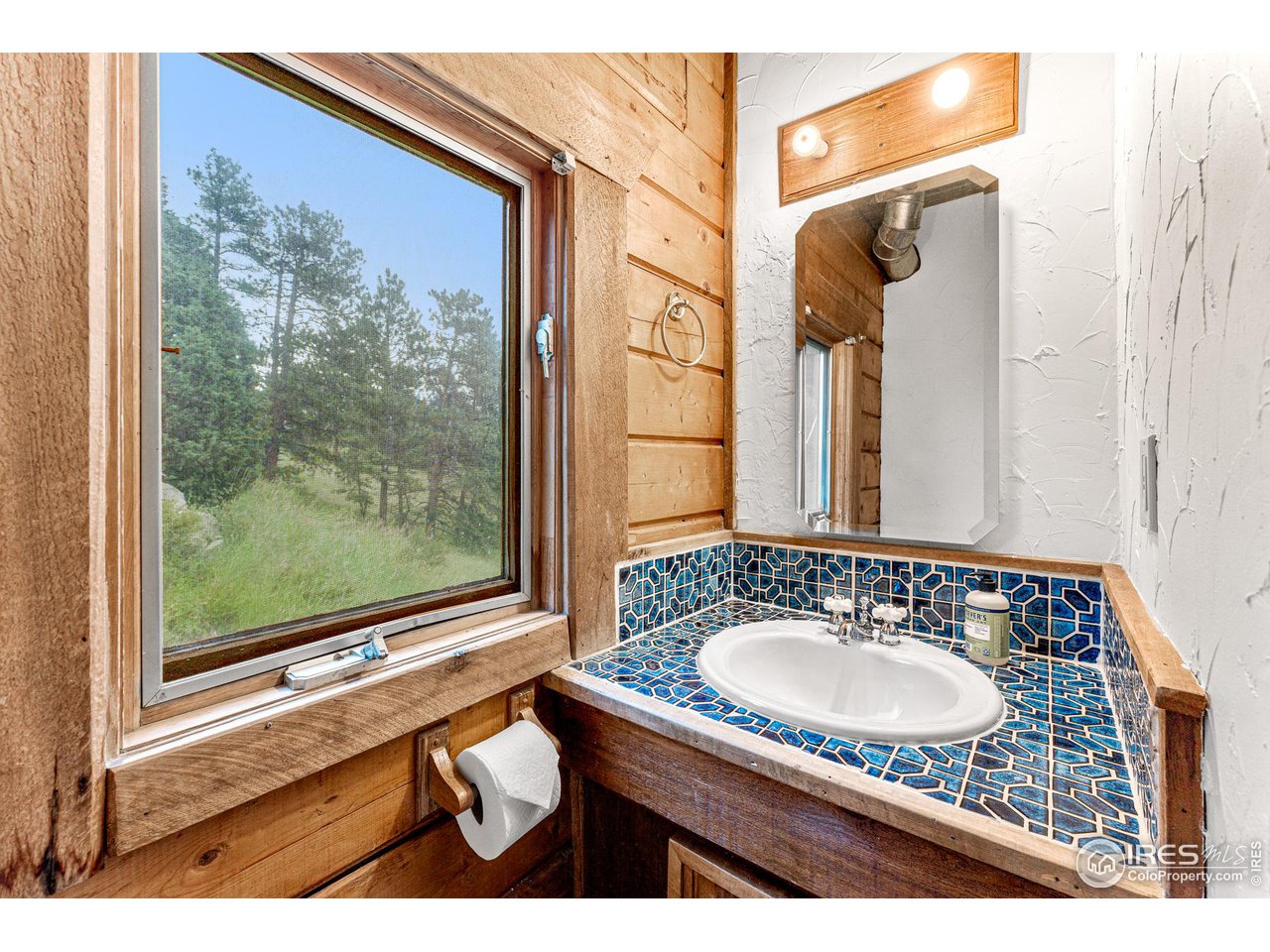 3907 Ridge Road Nederland, CO 80466 - Photo 13 of 40 Primary powder