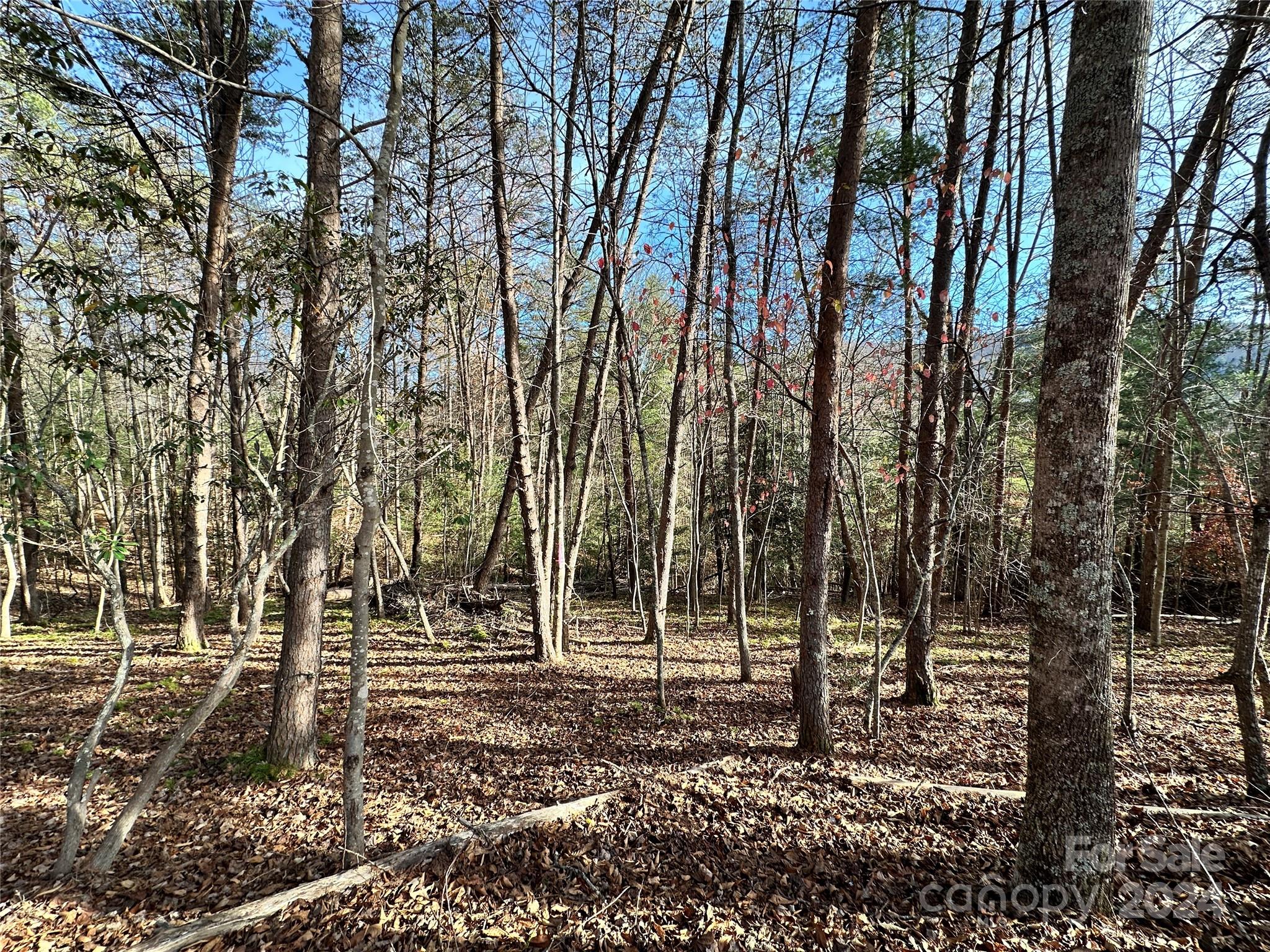Tbd Burley Ridge Candler, NC 28715 - Photo 1 of 18 Gallery Image 1
