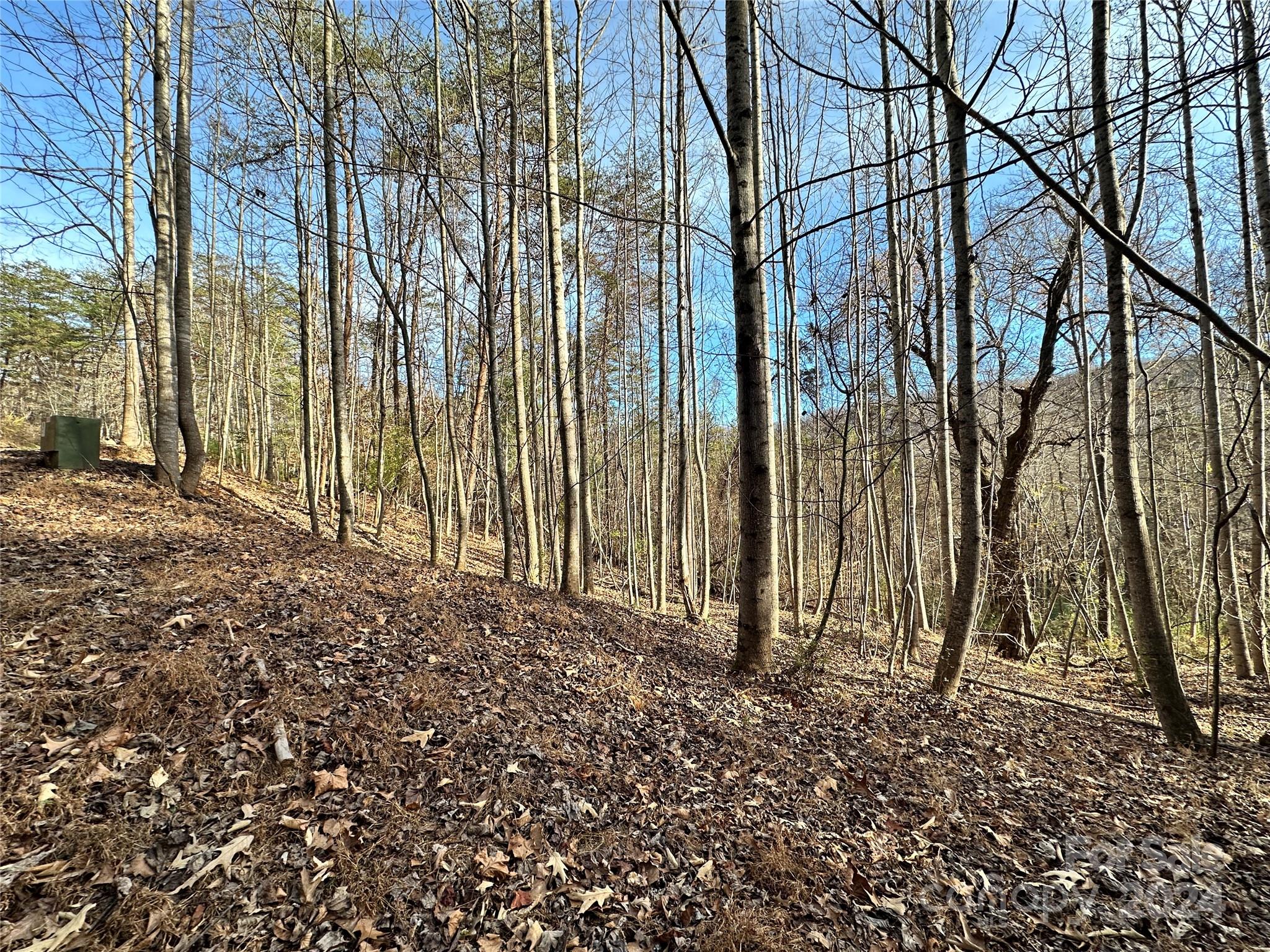 Tbd Burley Ridge Candler, NC 28715 - Photo 11 of 18 Gallery Image 11