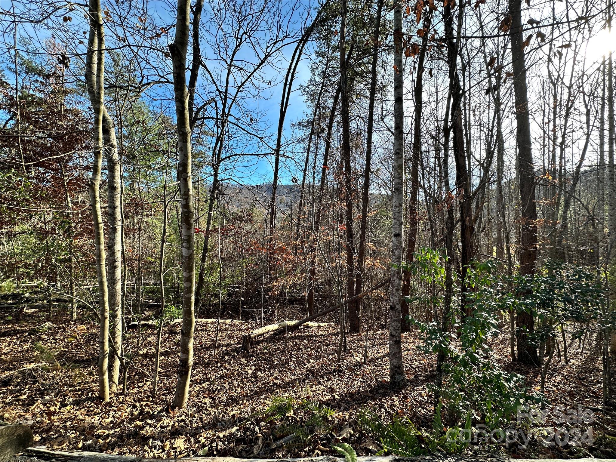 Tbd Burley Ridge Candler, NC 28715 - Photo 12 of 18 Gallery Image 12