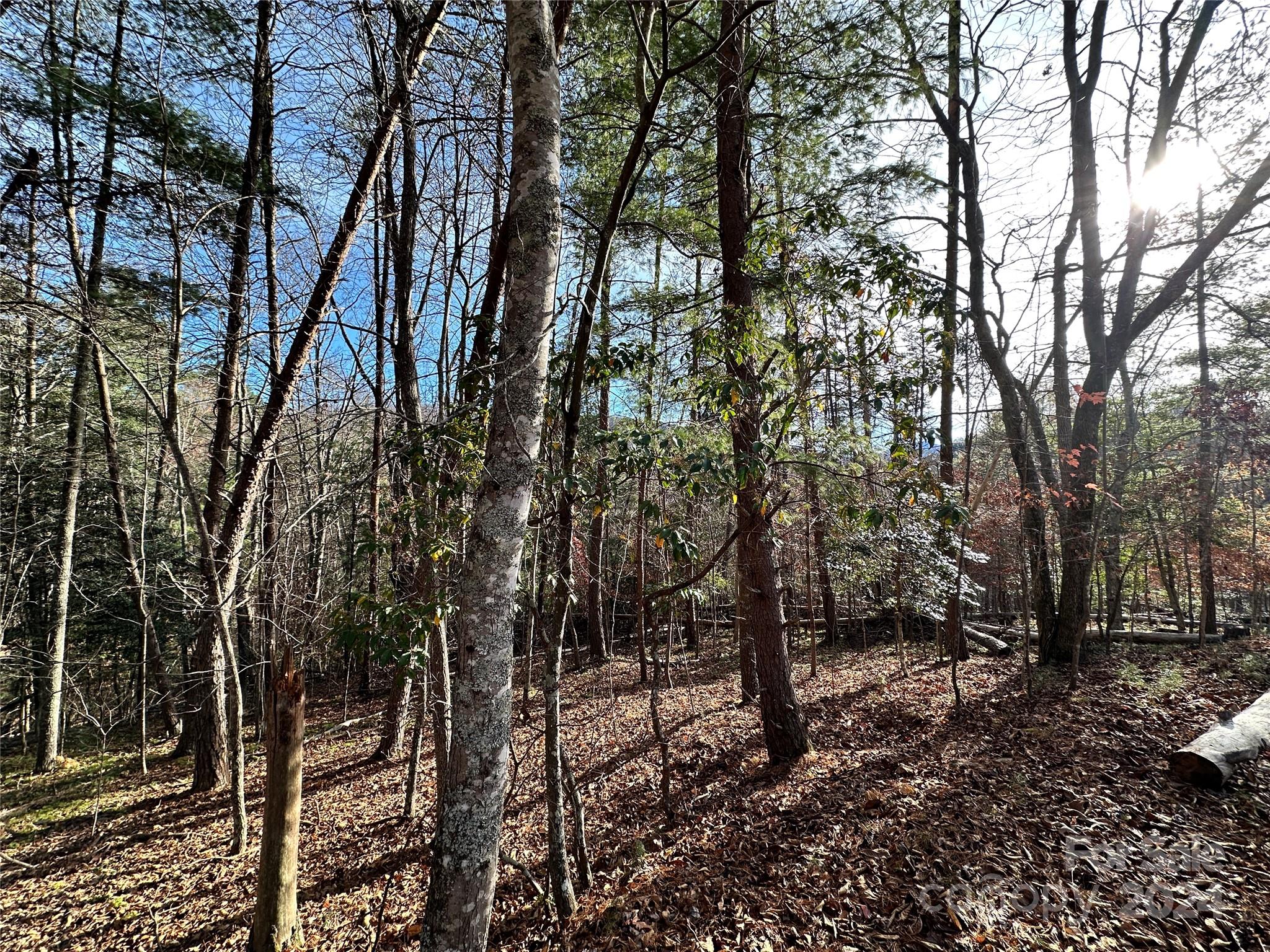Tbd Burley Ridge Candler, NC 28715 - Photo 14 of 18 Gallery Image 14