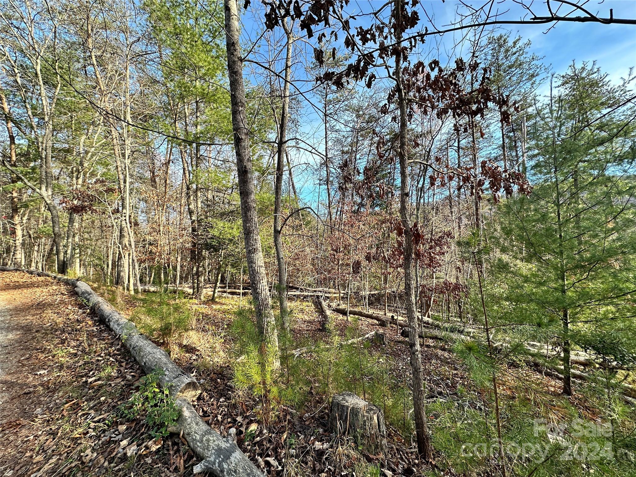 Tbd Burley Ridge Candler, NC 28715 - Photo 18 of 18 Gallery Image 18