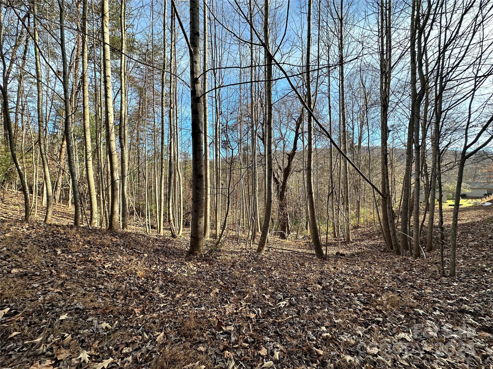 Tbd Burley Ridge Candler, NC 28715 - Photo 2 of 18 Gallery Image 2