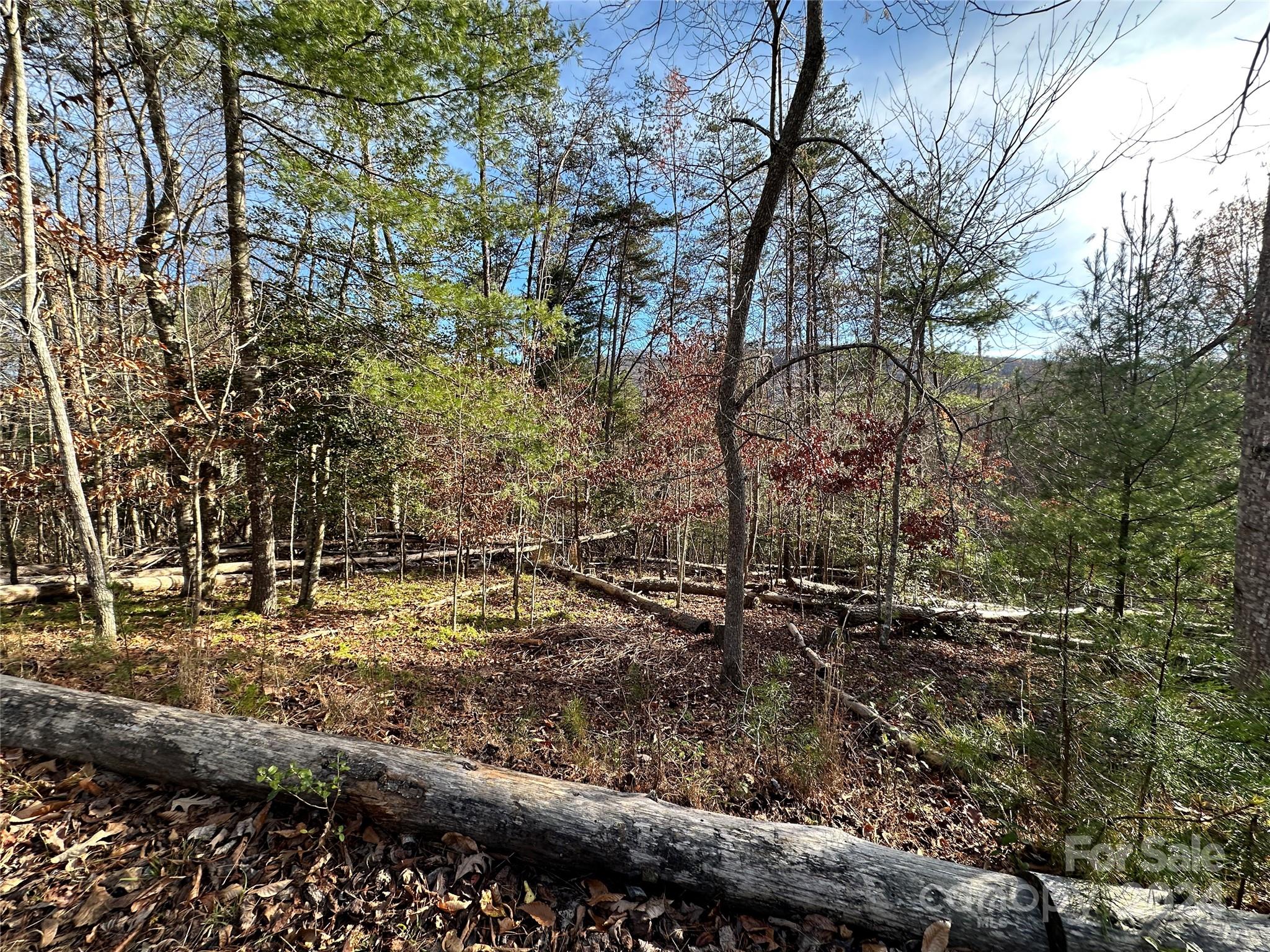 Tbd Burley Ridge Candler, NC 28715 - Photo 3 of 18 Gallery Image 3